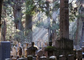Koyasan : offrez-vous cette somptueuse perle du Japon