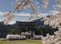 Kumano Kodo 