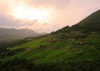 Kumano Kodo 