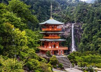 Kumano Kodo 