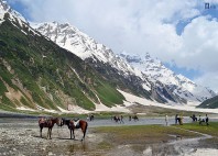 Lac Saiful Muluk 
