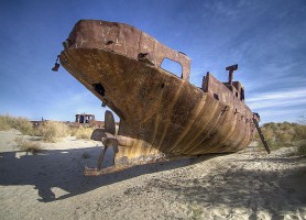 Mer d'Aral : découvrez la belle au collier doré