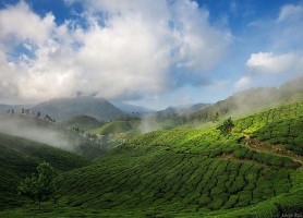 Munnar : découvrez cette époustouflante réserve de thé