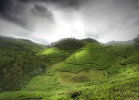 Munnar 