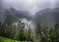 Munnar 