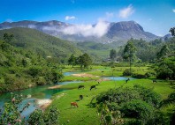 Munnar 