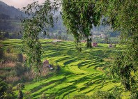 Nagarkot 