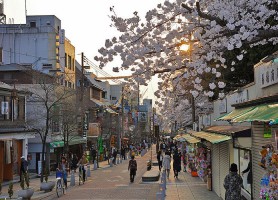 Nara : une petite merveille du Japon à découvrir absolument