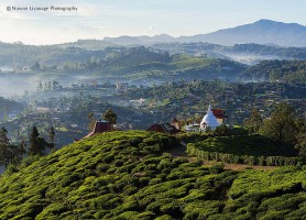 Nuwara Eliya : la belle ville aux allures de terre promise !