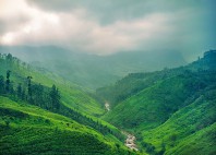 Nuwara Eliya 