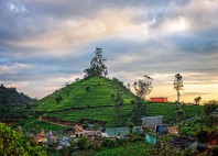 Nuwara Eliya 
