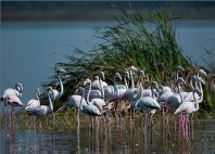 Parc national Bundala 