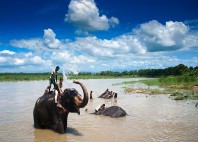 Parc national Chitwan 