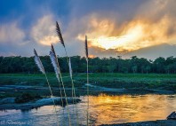 Parc national Chitwan 