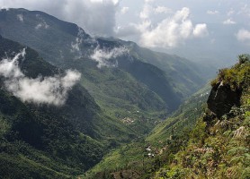 Parc national Horton Plains : un sanctuaire d’écosystèmes