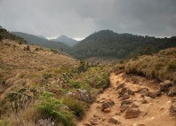 Parc national Horton Plains 
