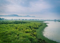 Parc national Kaziranga 