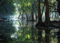 Parc national Keoladeo 