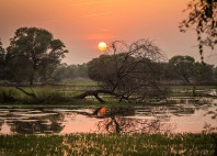 Parc national Keoladeo 
