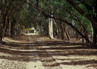 Parc national Lal Suhanra 