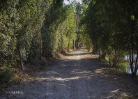 Parc national Lal Suhanra 