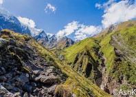 Parc national Nanda Devi 