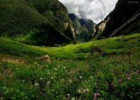 Parc national Nanda Devi 