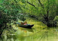 Parc national Sundarbans 