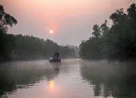 Parc national Sundarbans 