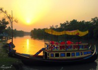 Parc national Sundarbans 