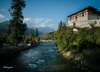 Paro 