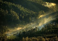 Pic d'Adam 