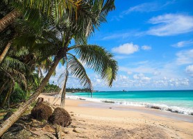 Plage de Hikkaduwa : pour un séjour de rêve au Sri Lanka