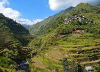 Rizières de Batad 