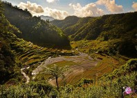 Rizières de Batad 