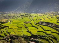 Sagada 