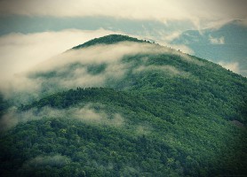 Sikhote-Aline : la belle cordillère de la Russie
