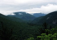 Sikhote-Aline 