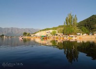 Srinagar 