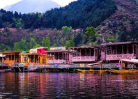 Srinagar 