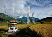 Temple Chimi Lhakhang 