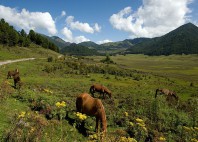 Vallée de Phobjika 