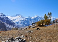 Vallée de Wakhan 
