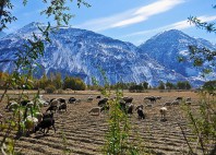 Vallée de Wakhan 