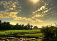 Assouan 