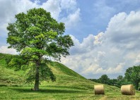 Cahokia Mounds 