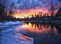 Calgary 
