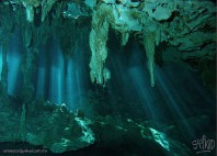 Cenote Dos Ojos 