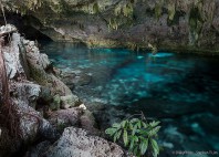 Cenote Dos Ojos 