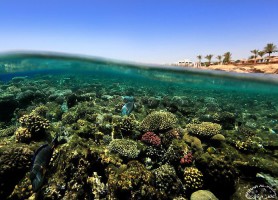 Charm el-Cheikh : la perle touristique égyptienne